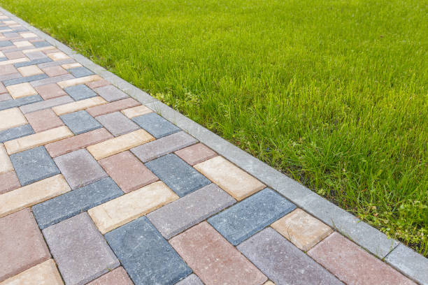 Best Brick Driveway Pavers  in Alamosa East, CO