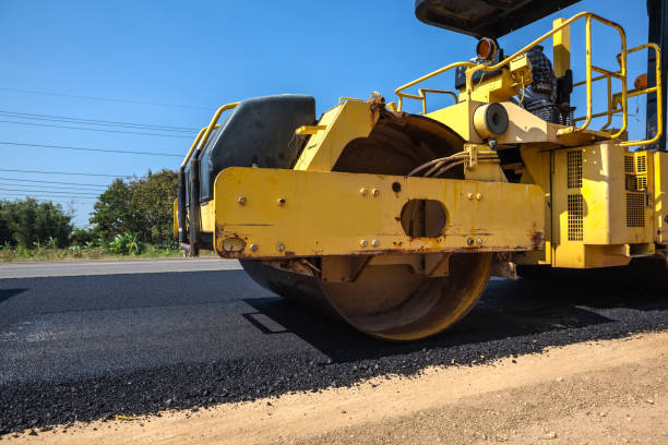 Best Custom Driveway Pavers  in Alamosa East, CO